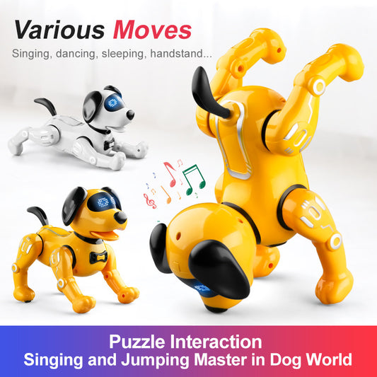 Remote Control Kids Robot Toy