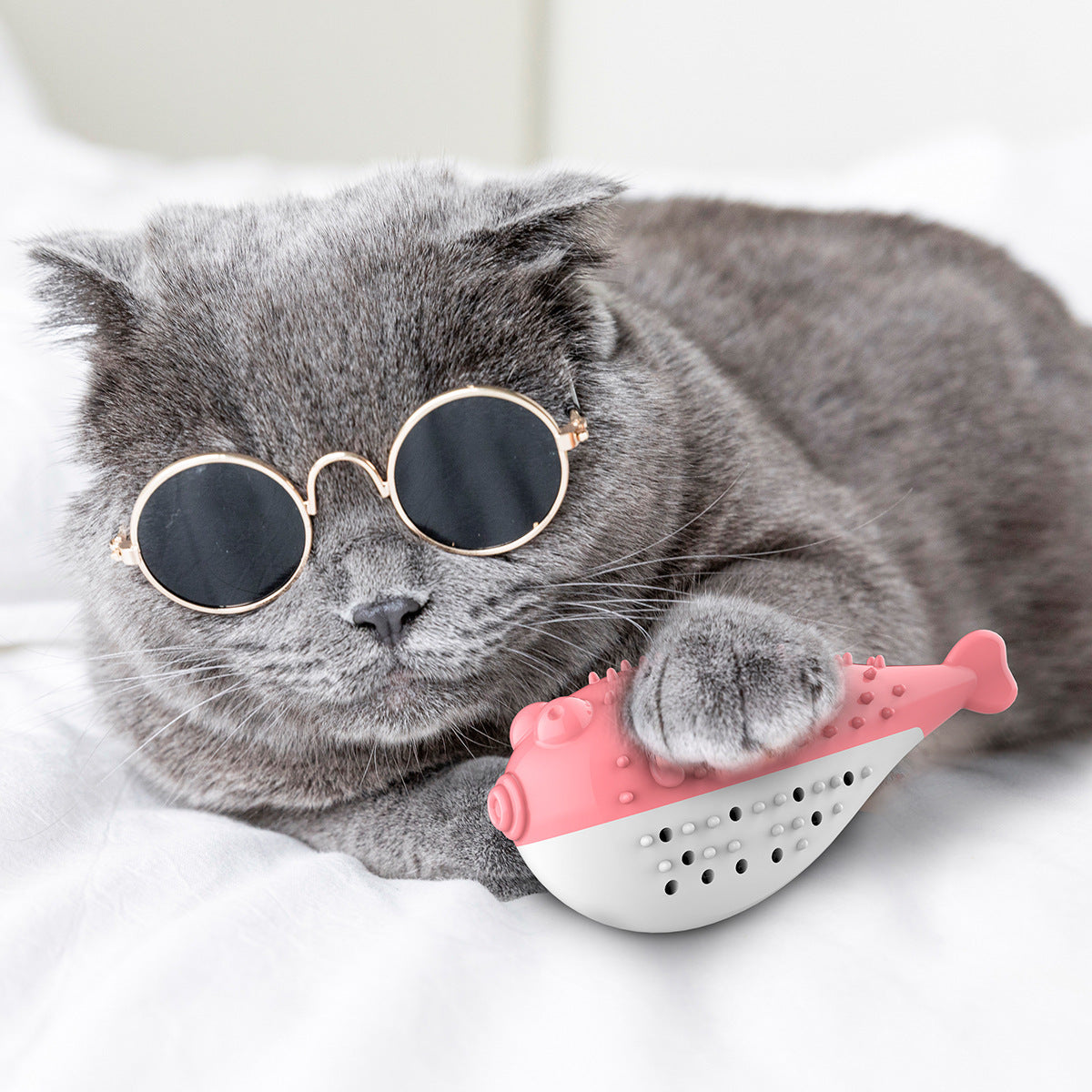Cat Toothbrush Toy