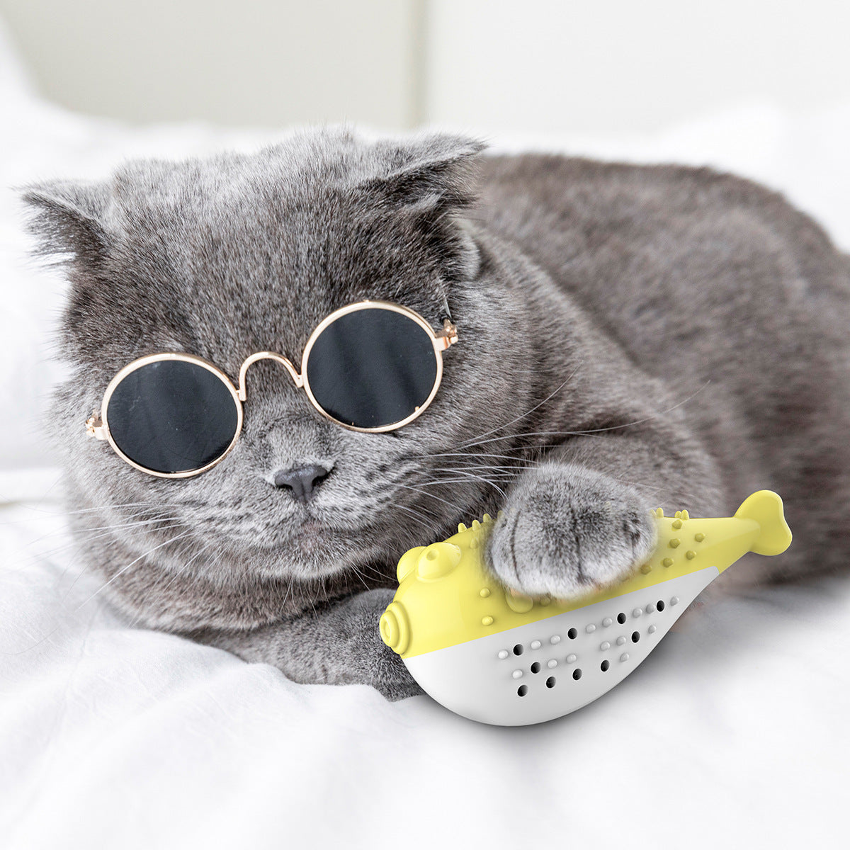Cat Toothbrush Toy