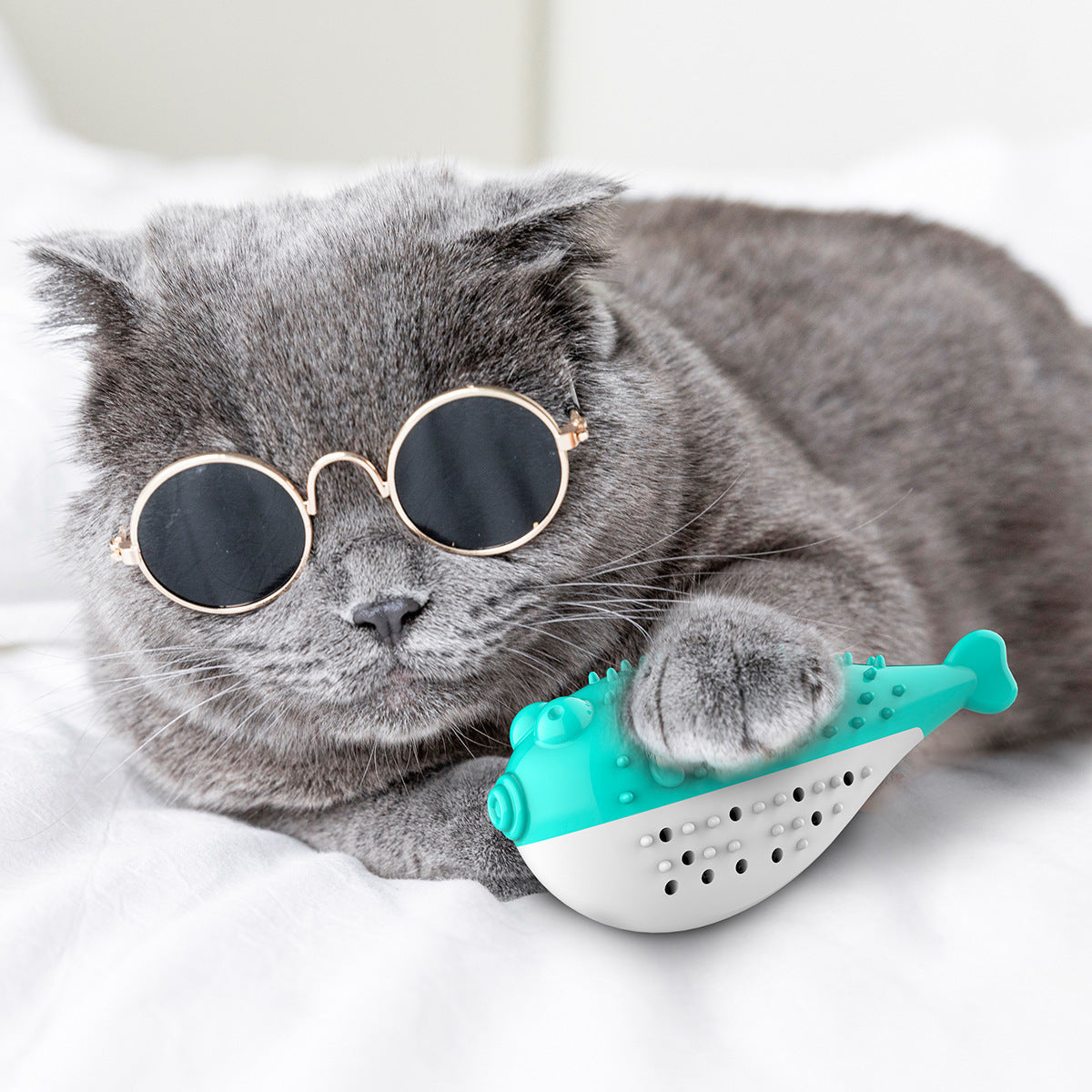 Cat Toothbrush Toy