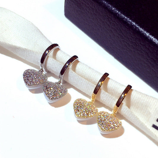 Delicate Super Shining Earrings