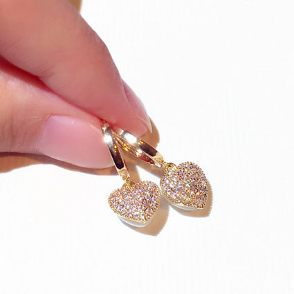 Delicate Super Shining Earrings