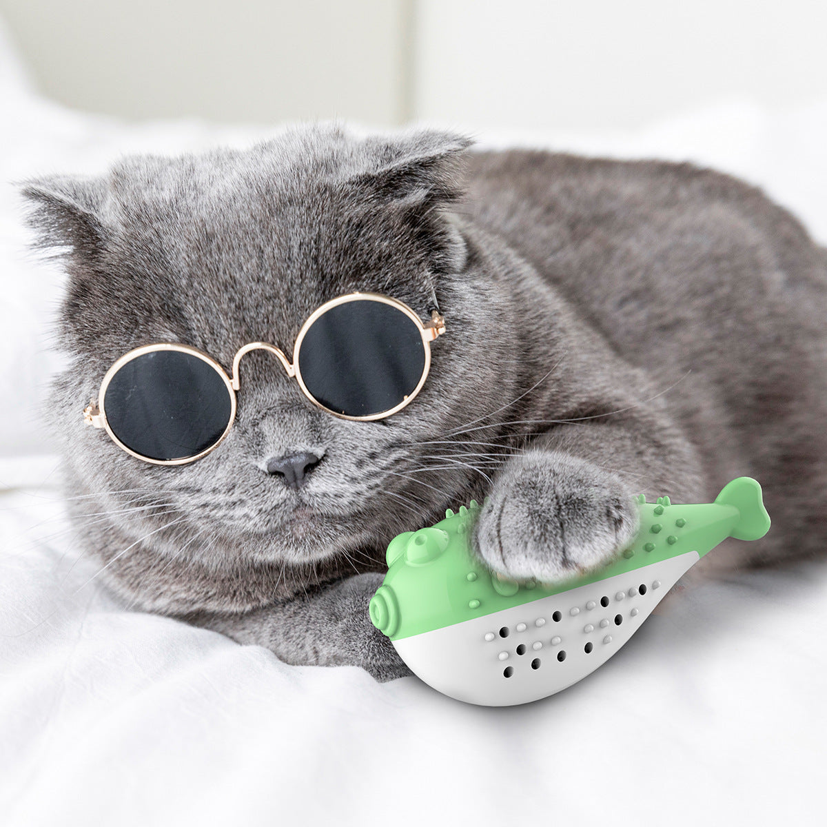 Cat Toothbrush Toy