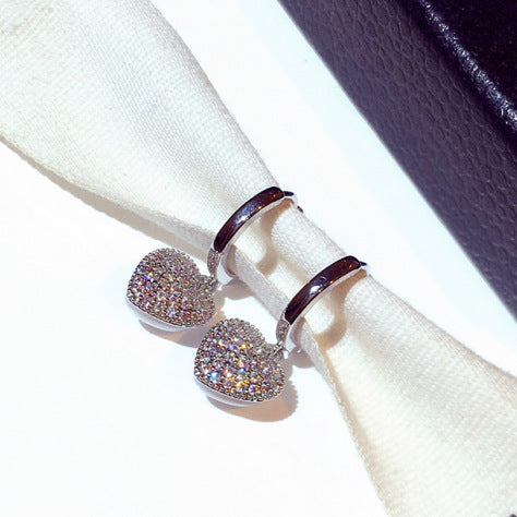Delicate Super Shining Earrings